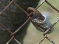 Rusty Padlock on a Rusty Chain Link Fence Nothing Locked up Royalty Free Stock Photo