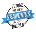 I have the best Grandkids in the World Emblem Royalty Free Stock Photo