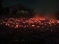 Tufts of embers scattered on the ground look like a village in the mountains Royalty Free Stock Photo