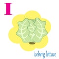 I is for iceberg lettuce illustration alphabet