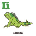 I for Iguana