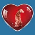 I like dogs, they are in my heart !