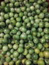 I looked down and saw a lot of green little tomato