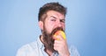 I love apples Man handsome hipster with long beard eating apple. Hipster hungry bites juicy ripe apple. Man diet