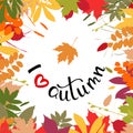 I love autumn background with multicolor leaves. Vector illustr