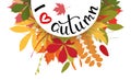 I love autumn background with multicolor leaves. Vector illustr