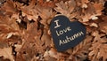 i love autumn concept, heart shaped note on fallen dry oak leaves, autumn mood Royalty Free Stock Photo