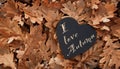 i love autumn concept, heart shaped note on fallen dry oak leaves, autumn mood Royalty Free Stock Photo