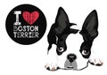 I Love Boston Terrier Vector