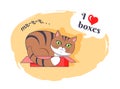 I Love Boxes Beautiful Kitty Vector Illustration