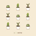 I love cacti. Seamless cactus illustration