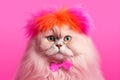 i love cats concept, funny disco bright cat in pink and orange color. Royalty Free Stock Photo