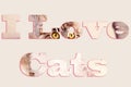 I Love Cats Text From Cat Image