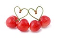 I love cherries Royalty Free Stock Photo