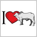 I love cow. Vector Illustration on white background. Royalty Free Stock Photo
