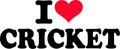 I love Cricket Royalty Free Stock Photo