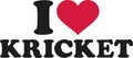 I love cricket Royalty Free Stock Photo