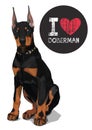 I love doberman Royalty Free Stock Photo