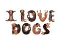 I love dogs. Vector letters of dachshund dogs.