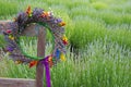 I love lavender, the smell of heaven Royalty Free Stock Photo