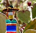 I love Mexico. Beer bottle and prickly pear cactus heart.