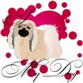 I love my Pekingese