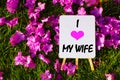 I Love my wife. On background of pink flowers and green grass. Royalty Free Stock Photo