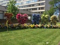 `I love NHS` in flowers outside st Thomas hospital in London, where Boris Johnson was treated.