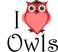 I love owls sign Royalty Free Stock Photo