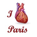 I love Paris . Human heart vector Royalty Free Stock Photo