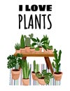 I love plants postcard. Potted succulent plants in hygge interior flyer. Cozy lagom scandinavian style poster