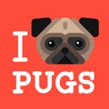 I love pugs. Cute fashion Hipster pug dog pet