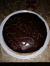 I love sacher tort sugar love