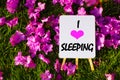 I Love sleeping. On background of pink flowers and green grass. Royalty Free Stock Photo