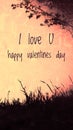 I love u Valentines Day