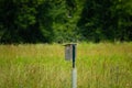 Tree swallows, one resting on birdhouse and the other on patrol Royalty Free Stock Photo