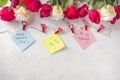 I love you, Be my Valentine notes Royalty Free Stock Photo