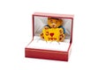 I love you bear in the case Royalty Free Stock Photo