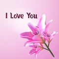 I love you. Greeting card. Postcard template with flower of the Lily. Royalty Free Stock Photo