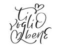 I love you on Italian Ti Voglio Bene. Black vector calligraphy lettering wedding text with heart. Holiday quote design