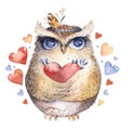 I love you. Lovely watercolor illustration with sweet owls, hearts and flowers in awesome colors. Stunning romantic