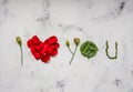 I love you - made of flowers, petals and leaves Royalty Free Stock Photo