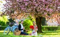 I love you. man and woman. romantic couple on picnic. love date in spring. relax under blooming sakura. couple in love Royalty Free Stock Photo