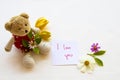 I love you message card handwriting with colorful flowers cosmos, ylang ylang and teddy bear Royalty Free Stock Photo