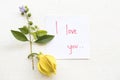 I love you message card handwriting with ylang flower Royalty Free Stock Photo