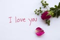 I love you message card with pink rose flowers Royalty Free Stock Photo