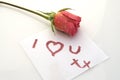 I love you rose Royalty Free Stock Photo