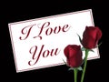 I Love You Valentine's Card Royalty Free Stock Photo