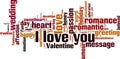 I love you word cloud Royalty Free Stock Photo