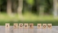 I love you word Written With wood Blocks On table nature background